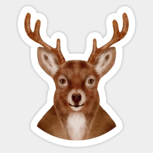 Deer Painting Head Hand drawn Sticker